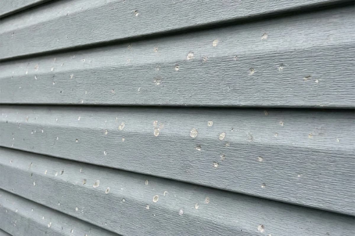 Close-up of cosmetic hail damage on an asphalt shingle roof
