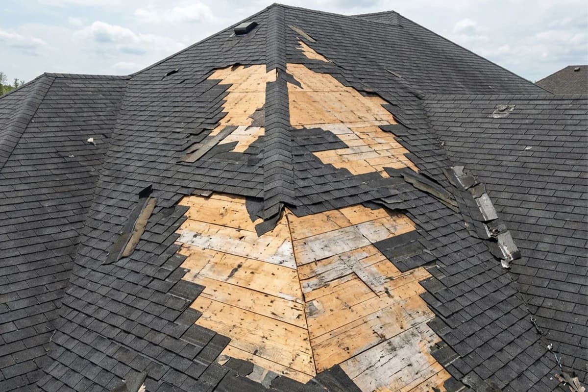 Aerial view of severe structural hail damage with plywood roof deck exposed